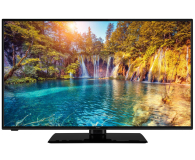 Gogen TV GOGEN 43" TVF43P452T FHD - 1379141 - zdjęcie 1
